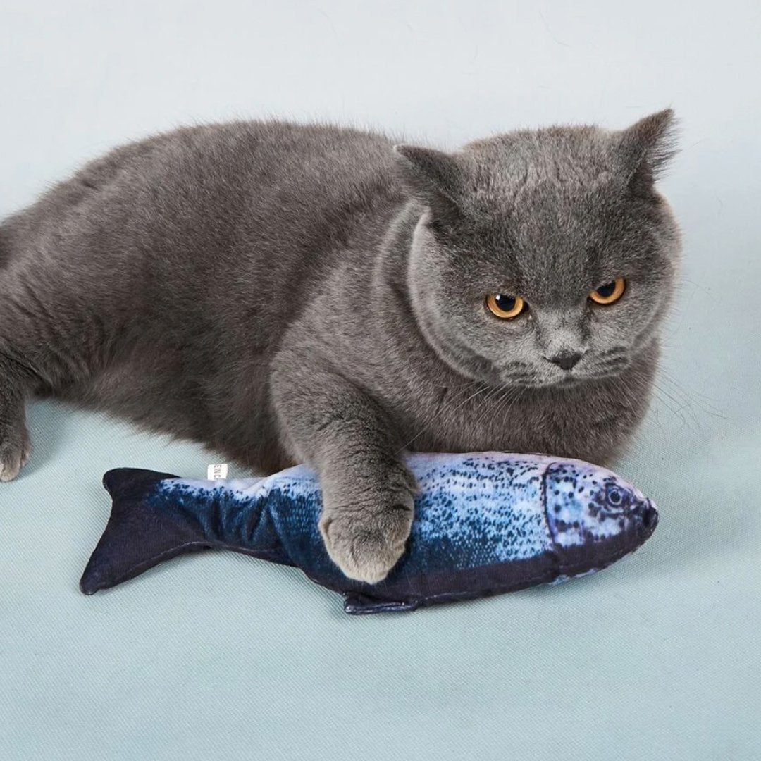 USEMORRA Interactive electric fish toy for cats