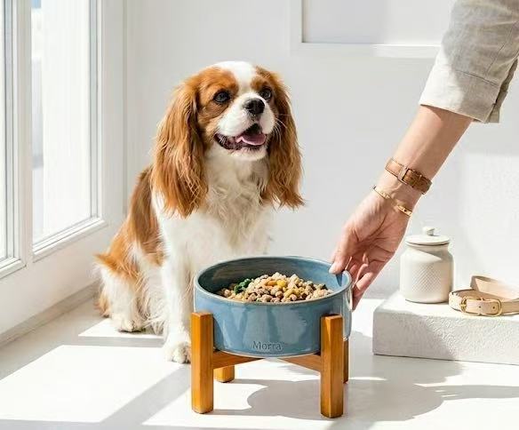 Feeding Ritual