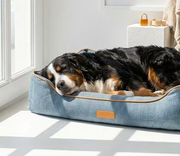 Calm & Comfort