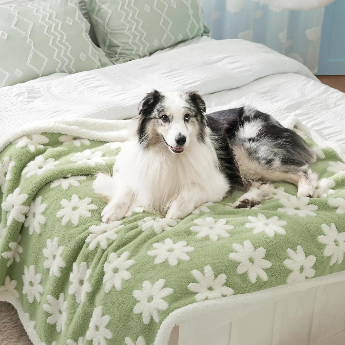 Premium Waterproof Pet Comfort Blanket