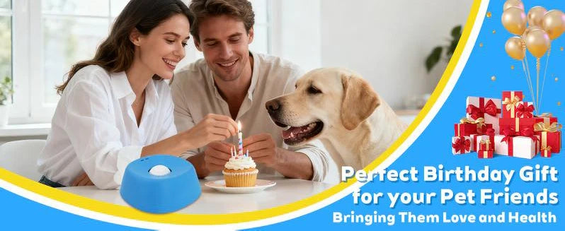 🐾USEMORRA™ Vet-Recommended Slow Feeder Bowl for Dogs & Cats - Interactive Anti-Gulping Pet Dish for Healthy Tummies