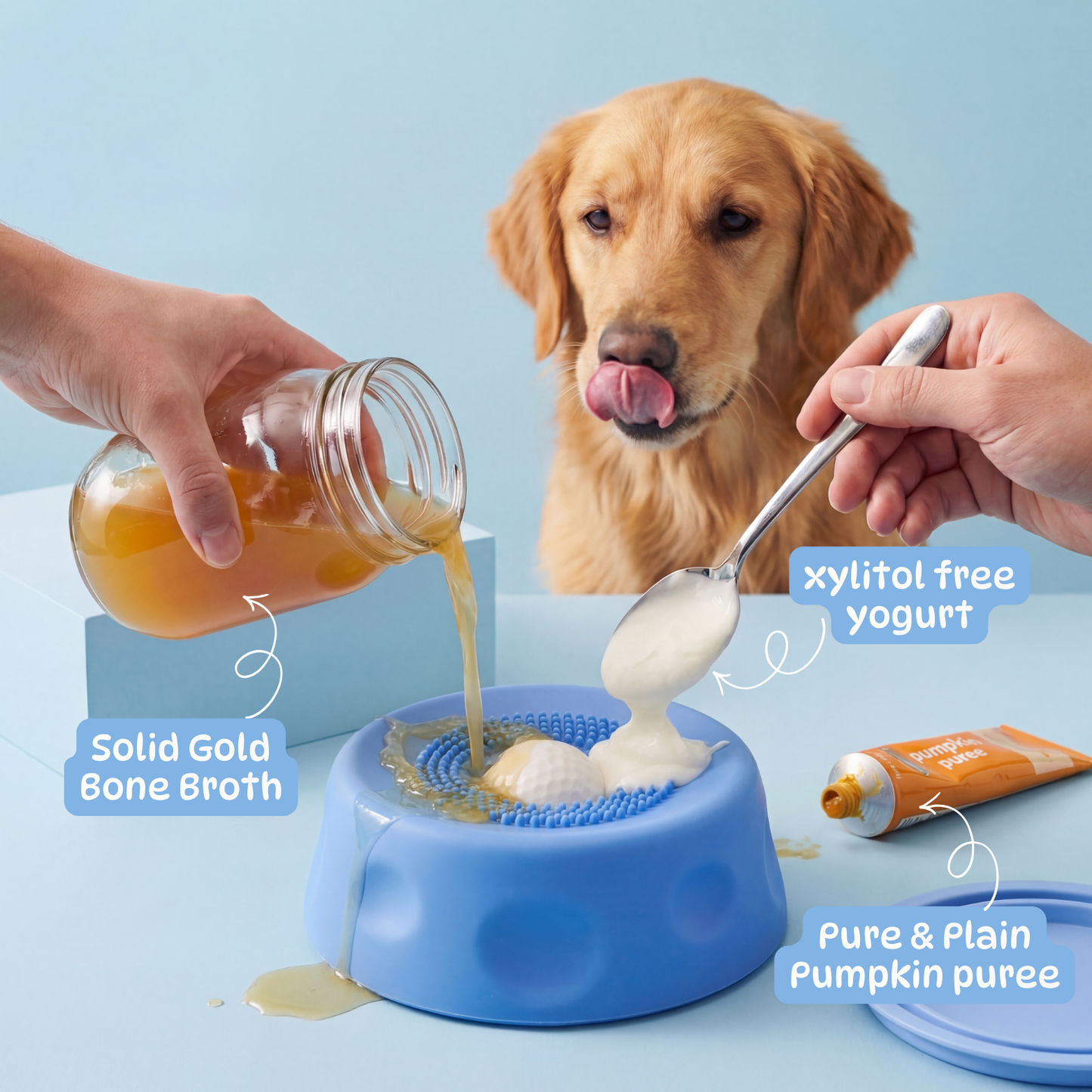 Paw Calm Pup Bowl 2.0