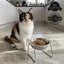 USEMORRA™ Elevated Feeding Bowl