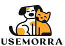 usemorra.com
