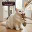 USEMORRA™ Catnip & Silvervine Chew