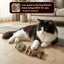 USEMORRA™ Catnip & Silvervine Chew