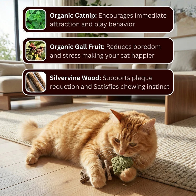 USEMORRA™ Catnip & Silvervine Chew