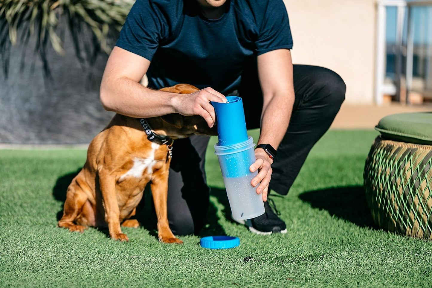 No More Muddy Paw Prints — Clean Paws in Seconds, Anywhere