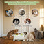 USEMORRA™ Magic House Interactive Cat Toy