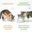 USEMORRA™ Elevated Feeding Bowl