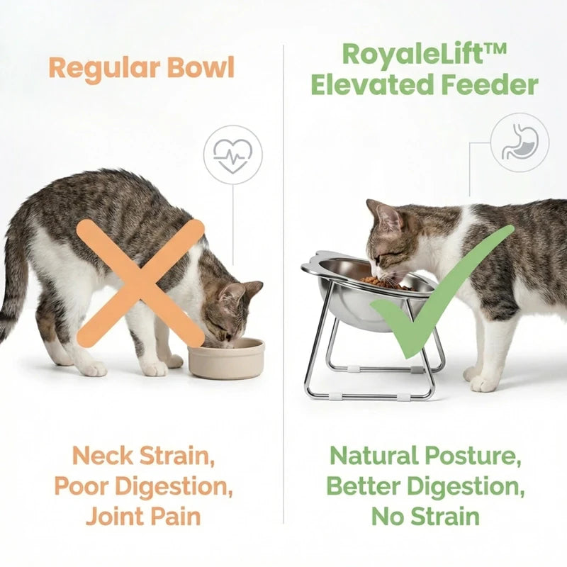 USEMORRA™ Elevated Feeding Bowl