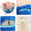 USEMORRA™ – Smart Interactive Plush Pig Toy 🐱&🐶