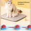 Yopoll interactive pet toy ball
