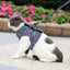 🔥USEMORRA™ Premium Cat Harness & Leash Set