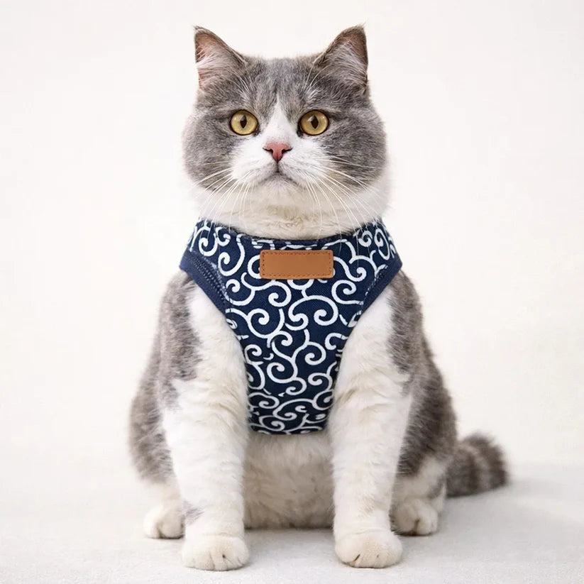 🔥USEMORRA™ Premium Cat Harness & Leash Set