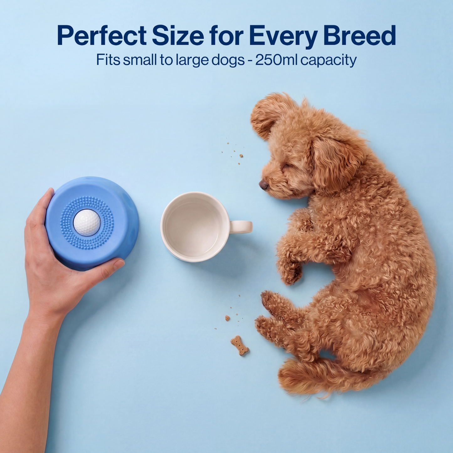 Paw Calm Pup Bowl 2.0