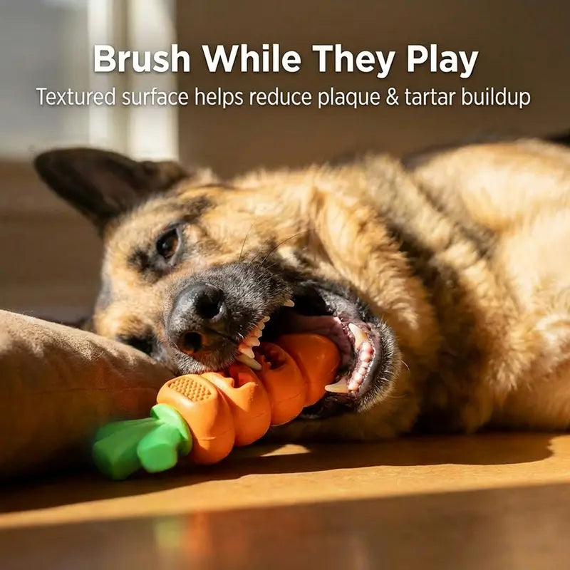 USEMORRA™ Aggressive Chewer Dog Toys