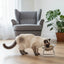 USEMORRA™ Elevated Feeding Bowl
