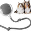 Yopoll interactive pet toy ball
