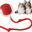 Yopoll interactive pet toy ball