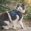 🔥USEMORRA™ Premium Cat Harness & Leash Set