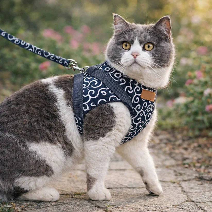 🔥USEMORRA™ Premium Cat Harness & Leash Set
