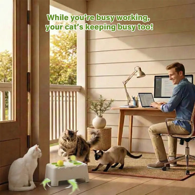 USEMORRA™ Magic House Interactive Cat Toy