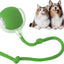Yopoll interactive pet toy ball