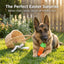 USEMORRA™ Aggressive Chewer Dog Toys