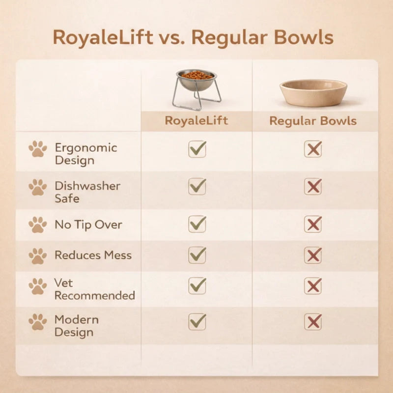 USEMORRA™ Elevated Feeding Bowl
