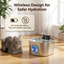 The Hydration Boost That Could Add Years to Your Cat's Life