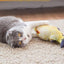 USEMORRA Interactive electric fish toy for cats