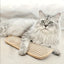 USEMORRA™ Cat Teething Pillow & Scratching Toy